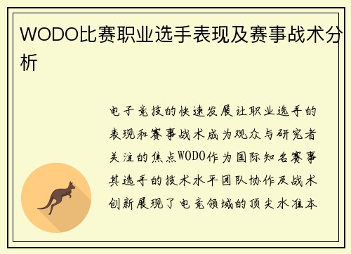 WODO比赛职业选手表现及赛事战术分析