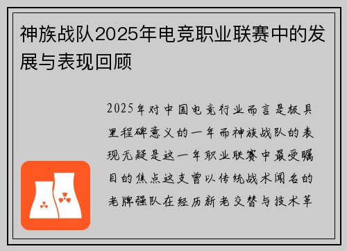神族战队2025年电竞职业联赛中的发展与表现回顾