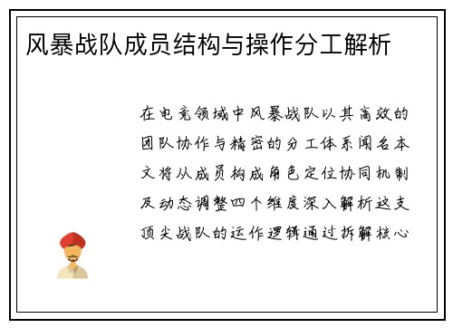 风暴战队成员结构与操作分工解析